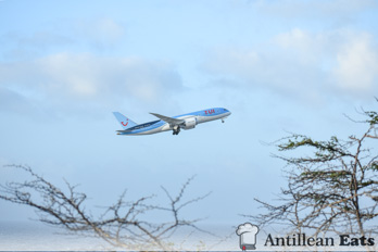 TUI Airlines - 787 taking off