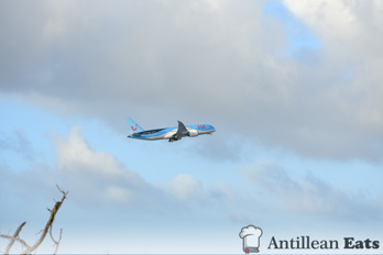 TUI Airlines - 787 taking off