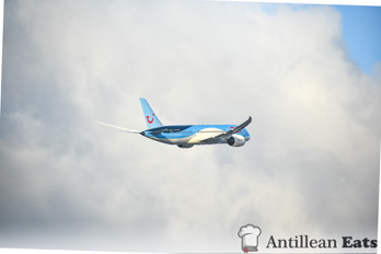 TUI Airlines - 787 climbing to cruising altitude