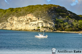 Boka St. Michiel - picture of beach