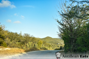 Kenepa Beach - way to kenepa