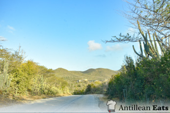 Kenepa Beach - way to kenepa