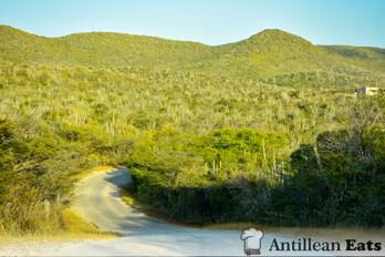 Kenepa Beach - way to kenepa