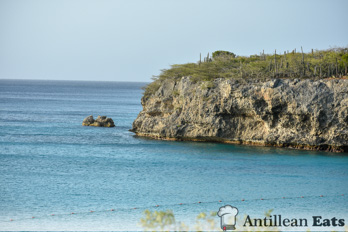 Kenepa Beach - picture of beach